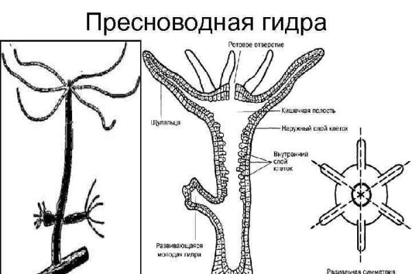 Кракен ссылка тор kr2web in