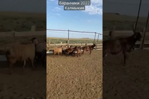 Кракен даркнет текст