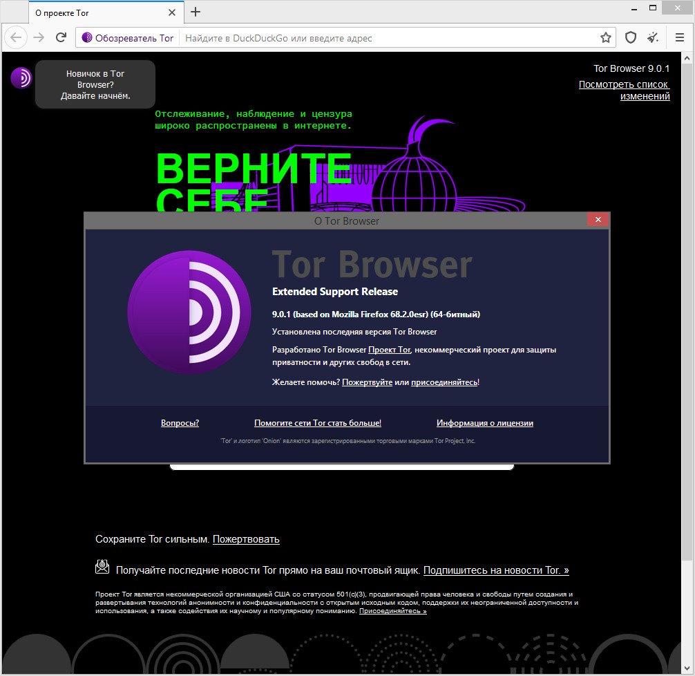 Tor browser даркнет