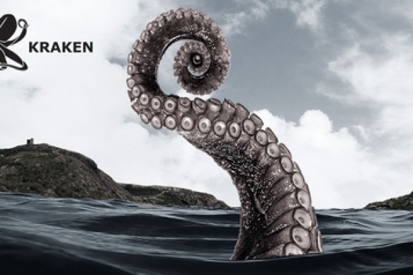 Kraken top