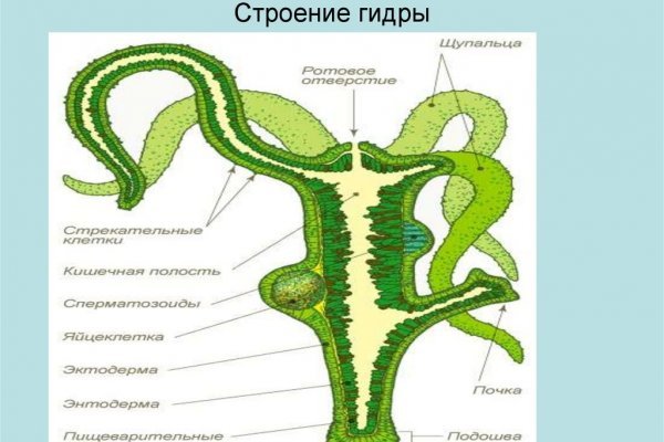 Кракен почему пользователь не найден